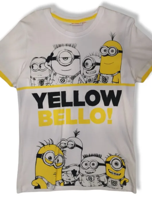 boy t-shirt yellow minions 2-12