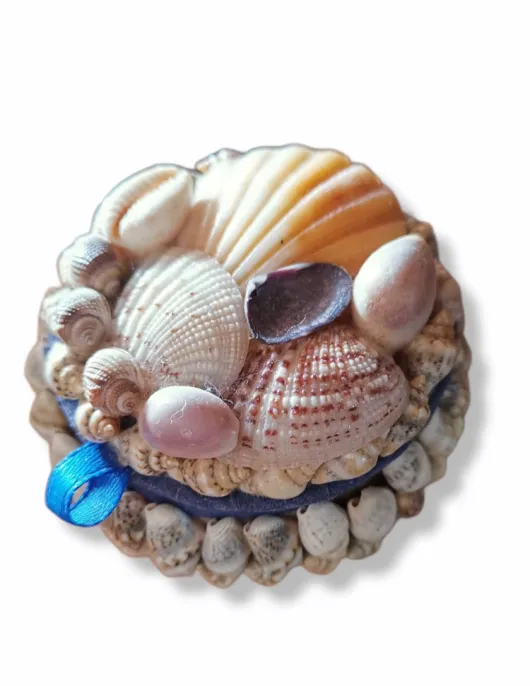 jewelry box shells small circle