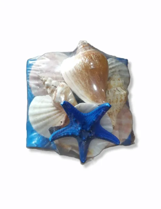 set of shells blue small